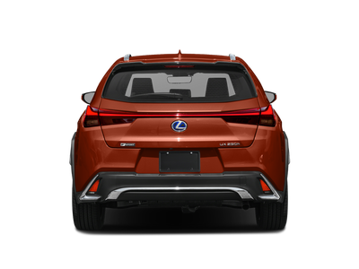 2022 Lexus UX UX 250h F SPORT
