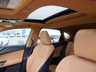 2025 Lexus NX NX 250 Premium